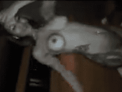 Lucky Dick Takes Hot Girl To Motel And She Dances For Him Very Tastefully