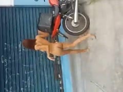 Cracuda Got Naked in the Streets of Goiânia With Fire in Her Pussy and Rascal Filmed Her – Amadora